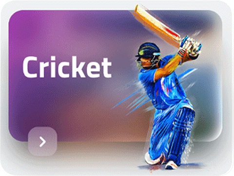 Cricket
